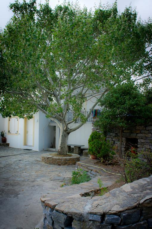 Aiolos Hotel Andros Ménites Exterior foto