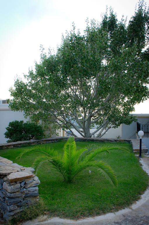 Aiolos Hotel Andros Ménites Exterior foto